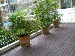 The Equatorial (D10), Condominium #599723961